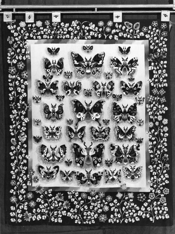 Collection de papillons