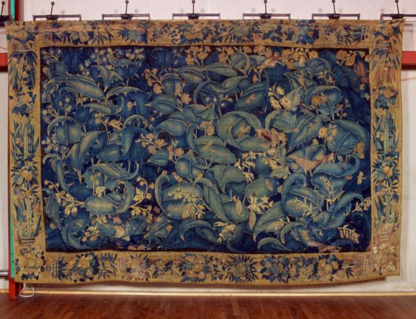 Verdure à Feuilles de choux